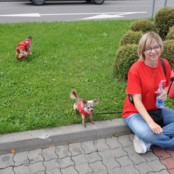 zilina lacot 104 20100813 1777872767