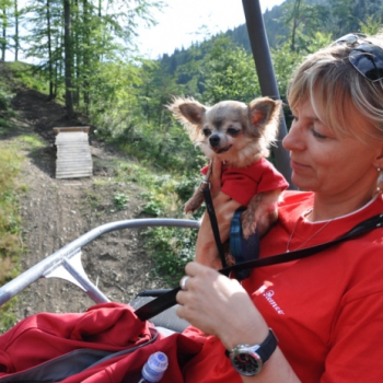 zilina lacot 204 20100813 1860965319