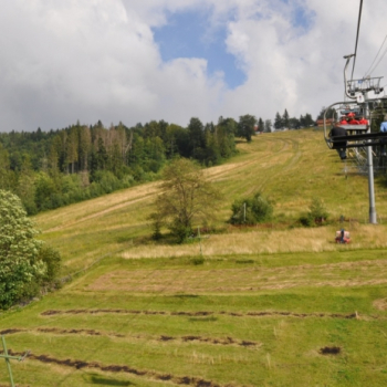 zilina lacot 213 20100813 1594913447