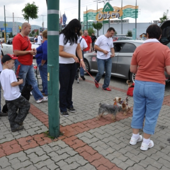 zilina lacot 2 20100813 1486813686