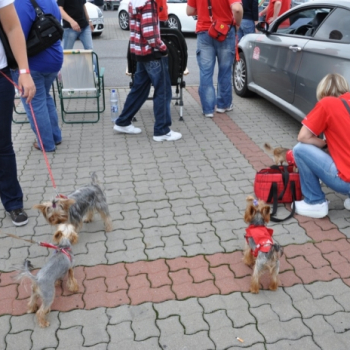 zilina lacot 3 20100813 1518618626